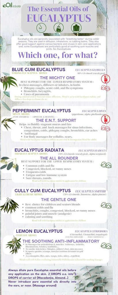 Eucalyptus Essential Oils