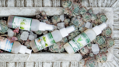 Aloe Vera eOil collection