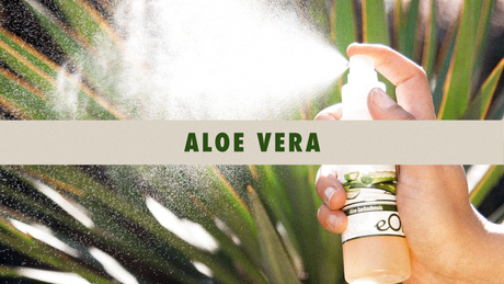 Pure 100 % Natural Aloe vera 
