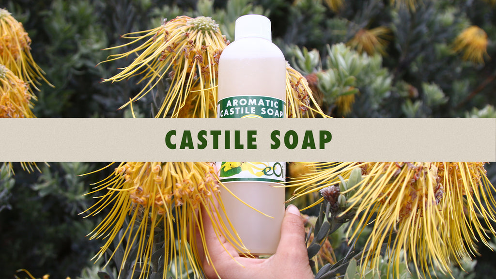 eOil.co.za castile soap range collection and natural soaps