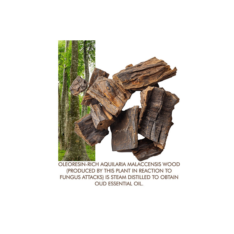 Agarwood Oudh Essential Oil Organic label image