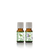 Air Purification Home - for Diffuser -  recipe synergy  -  Being well Collection