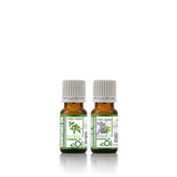 Air Purification Home - for Diffuser -  recipe synergy  -  Being well Collection