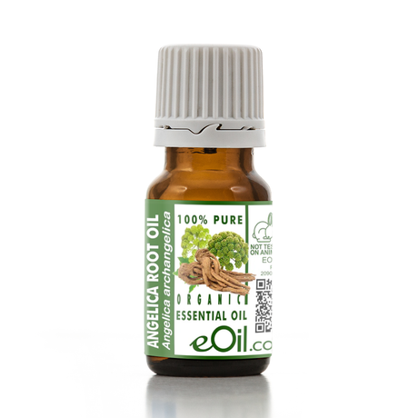 Bottle of Angelica Root Oil with a green label on a white background