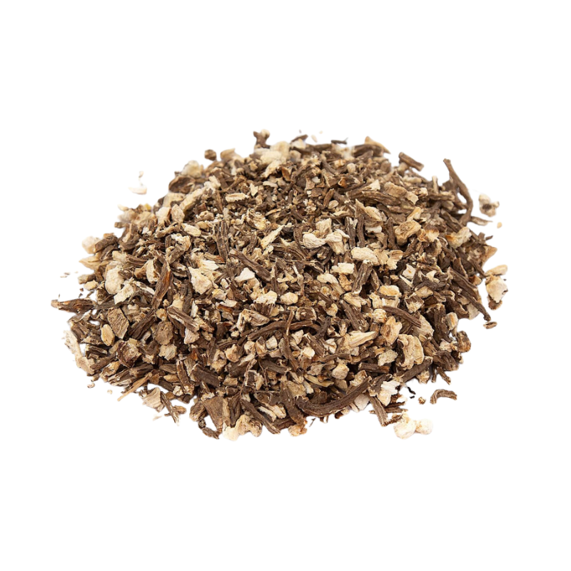 Angelica Root Cut Dried - Herbal Collection - 100 g - eOil.co.za