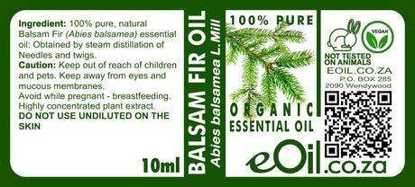 Balsam Fir Essential Oil Organic, fresh evergreen aroma for forest-inspired wellness and energy