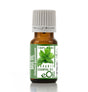 Bottle of eOil basil essential oil on a white background