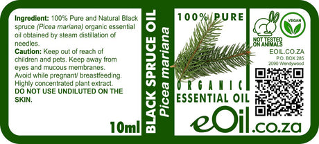 Black Spruce Essential Oil Organic, crisp resinous scent for restorative forest blends