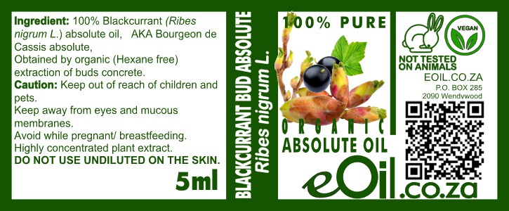 Blackcurrant Bud Cassis Absolute Oil, pure organic for perfumery and aromatherapy