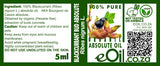 Blackcurrant Bud Cassis Absolute Oil, pure organic for perfumery and aromatherapy