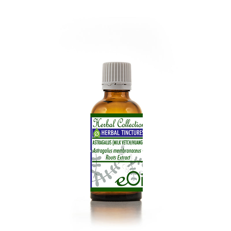 Astragalus membranaceus Extract - 50 ml - eOil.co.za