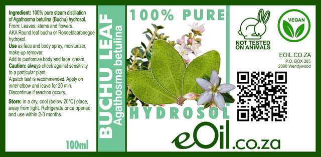 A product photo showing an EOIL.co.za Buchu Hydrosol spray bottle next to a sprig of fresh green buchu leaves, highlighting its natural fynbos origin