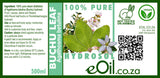 A product photo showing an EOIL.co.za Buchu Hydrosol spray bottle next to a sprig of fresh green buchu leaves, highlighting its natural fynbos origin