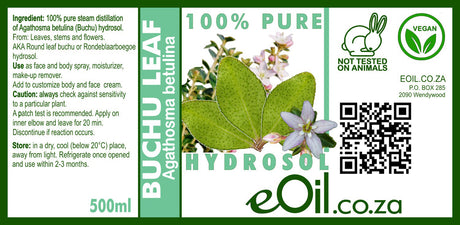 A product photo showing an EOIL.co.za Buchu Hydrosol spray bottle next to a sprig of fresh green buchu leaves, highlighting its natural fynbos origin