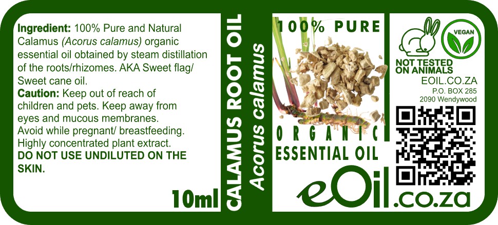 Calamus Essential Oil Organic, sweet spicy root oil for focus, digestive comfort, and rituals