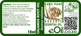 Calamus Essential Oil Organic, sweet spicy root oil for focus, digestive comfort, and rituals
