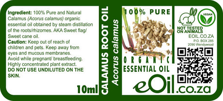Calamus Essential Oil Organic, sweet spicy root oil for focus, digestive comfort, and rituals