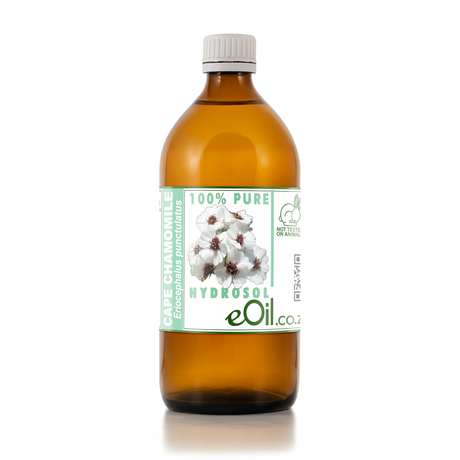 Cape Chamomile Hydrosol