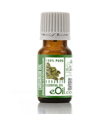 Bottle of eOil cardamom essential oil on a white background