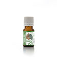Cassia Essential Oil Organic, warm spicy-sweet oil for comfort, wellness, and immunity