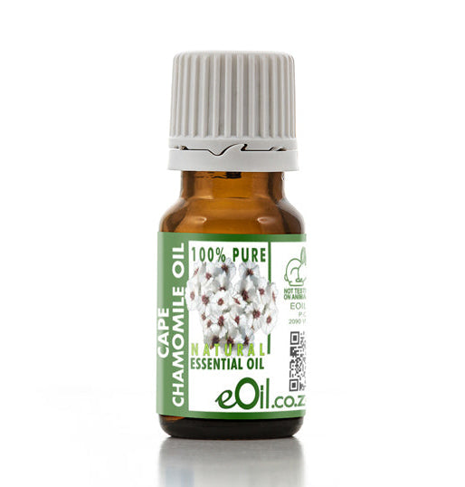 Bottle of Cape Chamomile essential oil with a white background