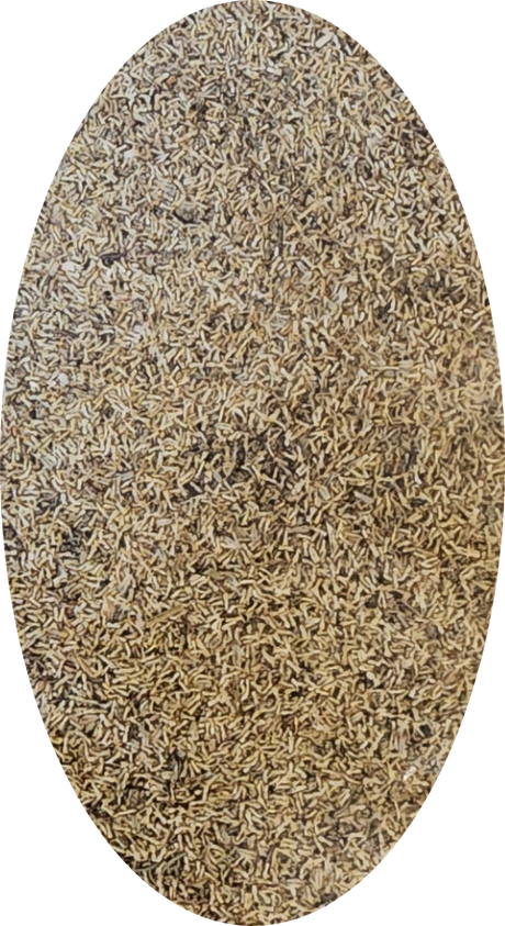 Chamomile German Pollen Organic Dried - eOil.co.za