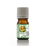 Bottle of Champaca Absolute Oil with a green label on a white background