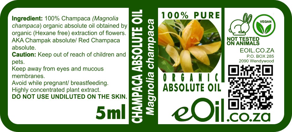 Champaca Absolute Organic Oil, exotic floral essence for spiritual tradition, lush perfumes, natural wellness