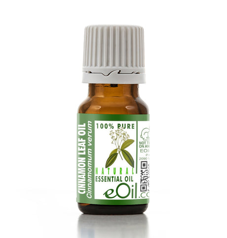 Bottle of cinnamon leaf essential oil with a white background