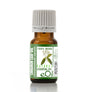 Bottle of cinnamon leaf essential oil with a white background