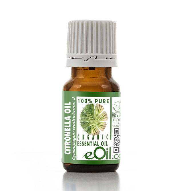 Bottle of eOil Citronella essential oil on a white background