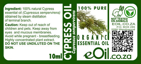 Cypress Essential Oil Organic, invigorating oil for diffuser and aromatherapy use