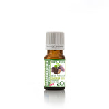 Grapeseed oil carrier (Vitis vinifera)