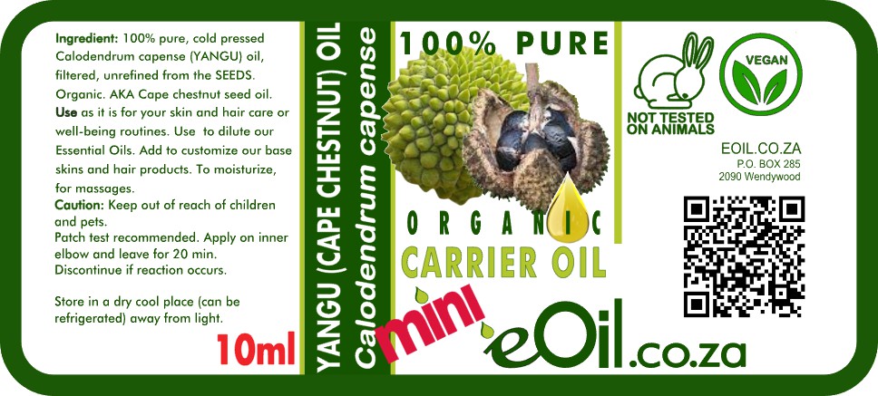 Yangu Cape Chestnut Carrier Oil - eOil.co.za