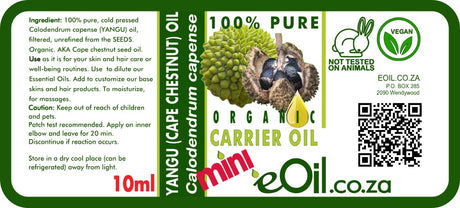 Yangu Cape Chestnut Carrier Oil - eOil.co.za