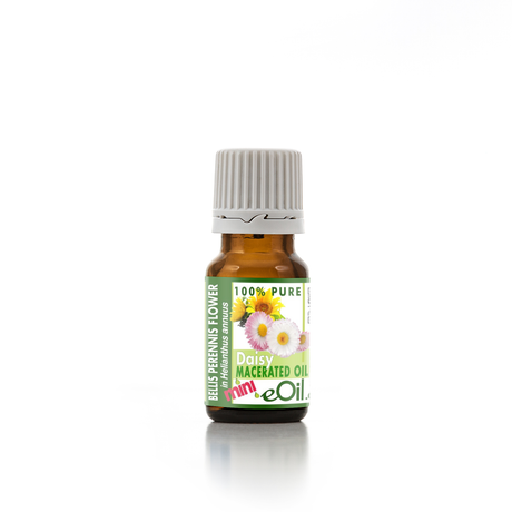Bottle of Daisy Macerated Oil with a green label on a white background