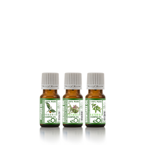 Essential oils assortment diffusion serene night - eOil.co.za