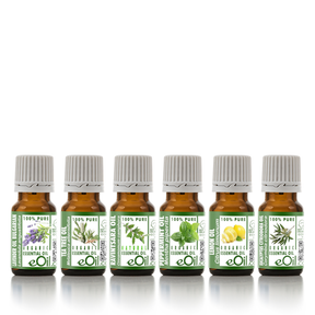 Essential oils assortment for beginners - eOil.co.za