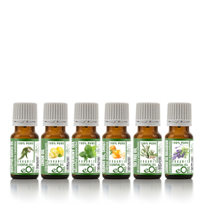 Essential oils assortment for natural house care - eOil.co.za
