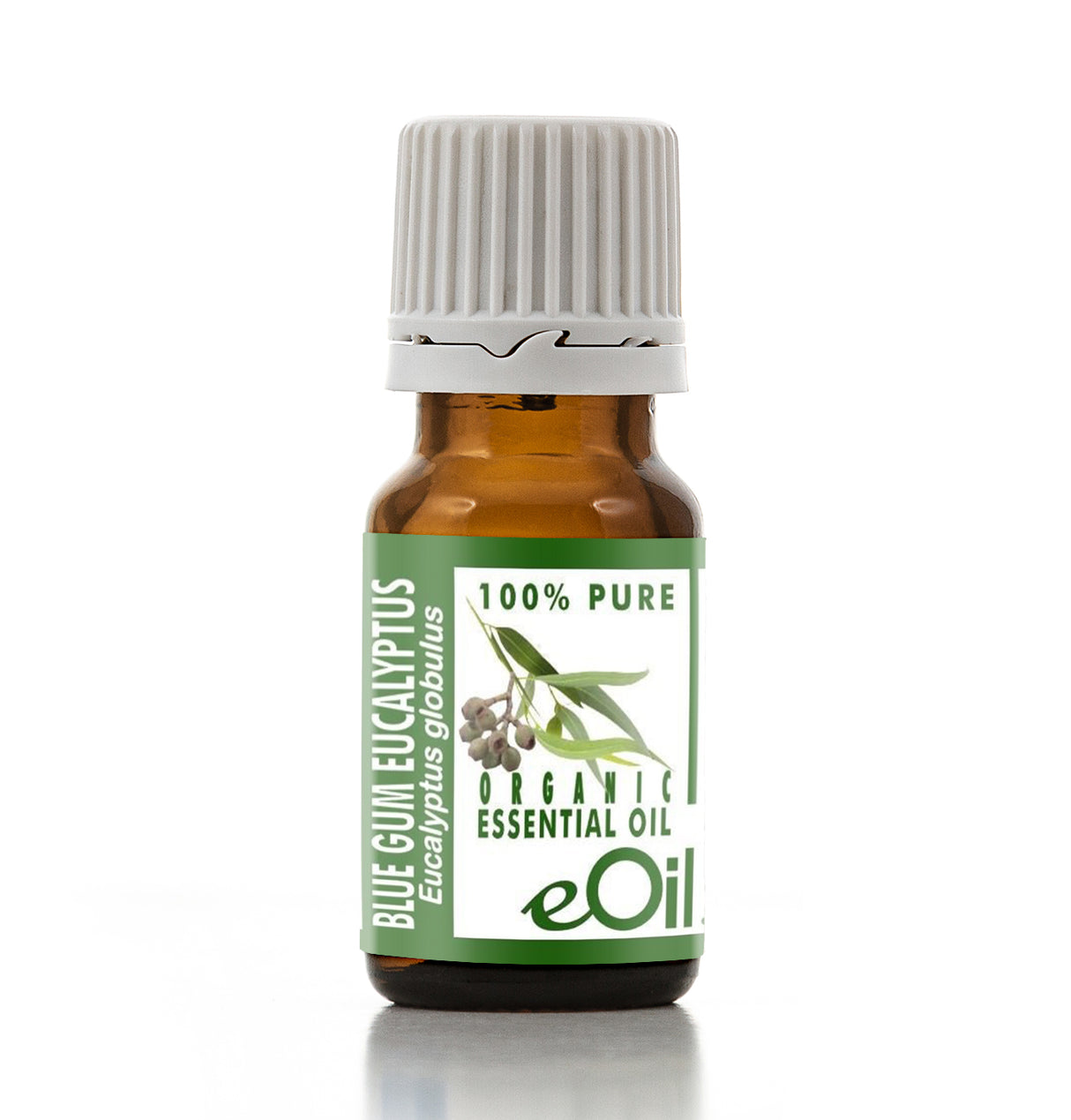 Bottle of eOil Blue Gum Eucalyptus essential oil on a white background