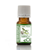 Bottle of eOil Blue Gum Eucalyptus essential oil on a white background