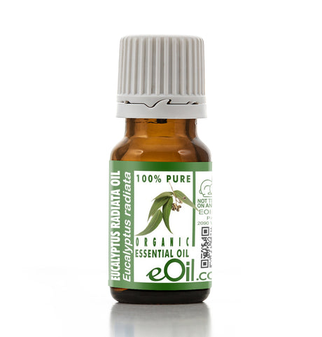 Bottle of eucalyptus essential oil with a green label on a white background