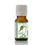 Bottle of eucalyptus essential oil with a green label on a white background