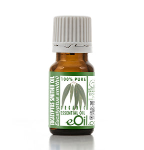 Bottle of eucalyptus essential oil with a white background