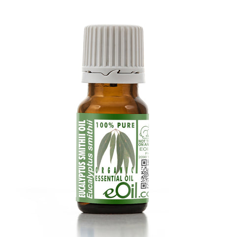 Bottle of eucalyptus essential oil with a white background