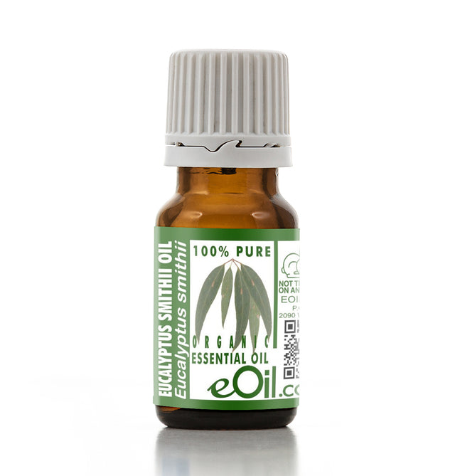 Bottle of eucalyptus essential oil with a white background