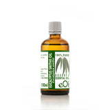 Eucalyptus smithii Essential Oil Organic, soft eucalyptus aroma, wellness applications eOil.co.za 100 ml