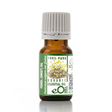 Fennel essential oil 10 ml bottle