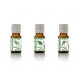 Flu Support - for Diffuser - Recipe Synergy - Being well collection