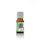 Guaiacwood Organic Essential Oil